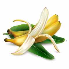 成熟的香蕉棕榈叶子白色背景