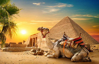 骆驼休息废墟
