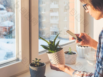 女人需要图片多汁的植物智能手机花锅窗口窗台上无忧无虑crassula和平植物爱好园艺首页冬天日落
