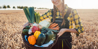 农民女人提供健康的蔬菜