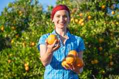 农民女人收获橙子果园