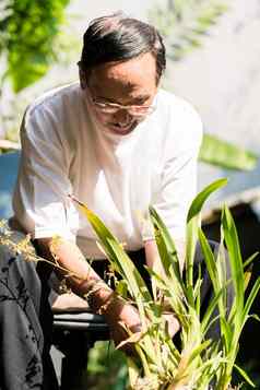 高级男人。种植花