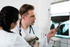 兽医外科医生检查x射线射线照片狗