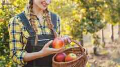水果农民女人收获苹果篮子