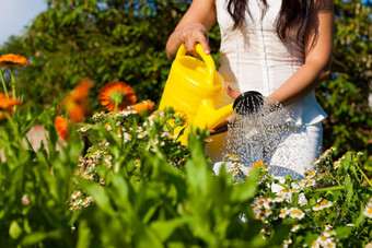 园艺夏天女人浇水花