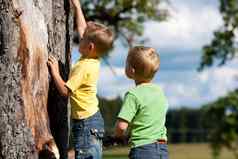 男孩攀爬树