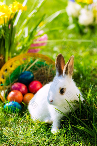 复活节兔子草地篮子鸡蛋