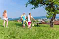 集团孩子们玩足球草地夏天