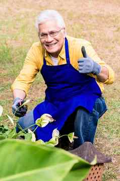 肖像活跃的亚洲上了年纪的男人。微笑修剪花园