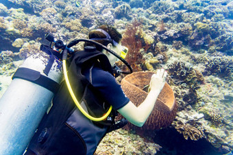 女人潜水员热带珊瑚礁潜水潜水热带海洋