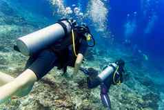 杂项潜水潜水热带海礁