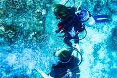 潜水潜水珊瑚礁水热带海洋