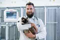 兽医宠物医生持有猫病人动物诊所