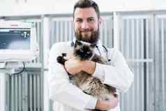 兽医宠物医生持有猫病人动物诊所