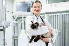 兽医宠物医生持有猫动物诊所