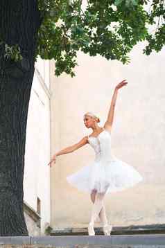 美丽的优雅的芭蕾舞女演员跳舞街道
