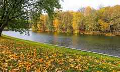 下降黄色的叶子绿色草湖公园阳光明媚的一天秋天背景