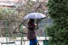 人伞街多雨的一天布加勒斯特罗马尼亚
