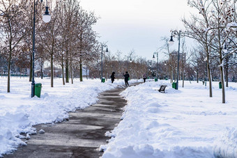 完美的形状的雪雪环境早....冬天概念冻雪覆盖的地方雪路布加勒斯特罗马尼亚