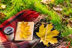 休闲温暖的毯子杯咖啡秋天公园秋天情绪状态心