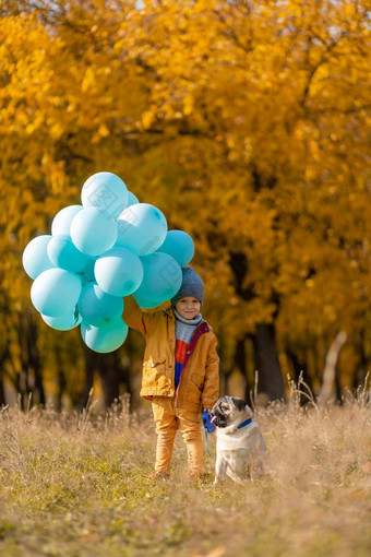 男孩可气球哈巴狗狗走秋天公园黄色的树蓝色的球时尚的孩子快乐童年