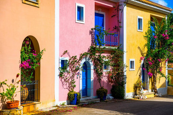 传统的街希腊房子花阿凯法利尼亚岛岛传统的色彩斑斓的希腊房子阿村盛开的樱红色植物花凯法利尼亚岛岛希腊