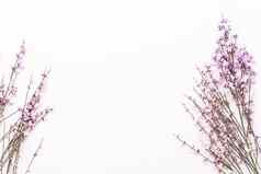 花作文粉红色的花粉红色的背景复活节春天概念问候卡
