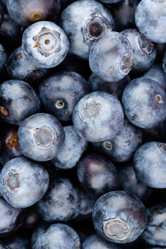 新鲜的蓝莓背景纹理蓝莓浆果关闭