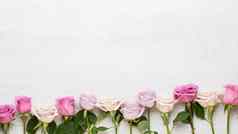 花情人节一天作文框架使粉红色的玫瑰灰色的背景平躺前视图复制空间