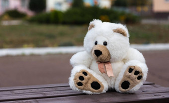 伤心孤独的泰迪熊白色毛茸茸的泰迪熊孤独的坐在木板凳上杂草丛生的花园