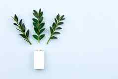 生态能源绿色权力插图白色电池嫩枝叶子光背景复制空间文本