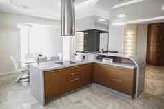 视图奢侈品现代安装厨房不锈钢钢电器