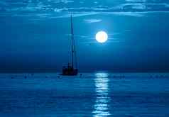 美丽的晚上海游艇完整的月亮晚上经典蓝色的海景时尚的横幅颜色一年