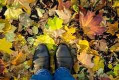 秋天秋天叶子腿鞋子概念上的图像腿靴子秋天叶子