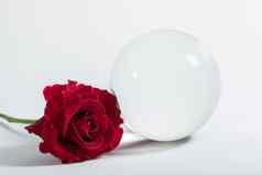 背景红色的玫瑰水晶球体