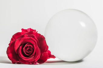 爱情人节一天背景红色的玫瑰水晶球