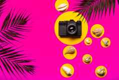 平躺旅行者配件棕榈叶贝壳相机前视图旅行假期概念