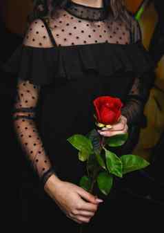 女孩黑色的衣服持有红色的玫瑰手概念给花女孩
