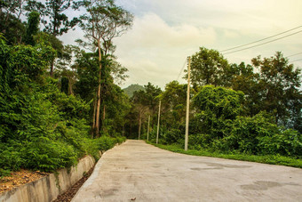 风景优美的<strong>自然小径</strong>林地