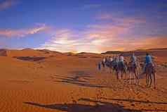 骆驼商队撒哈拉沙漠沙漠摩洛哥非洲