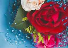 婚礼花束玫瑰关闭红色的玫瑰蓝色的背景模糊的花