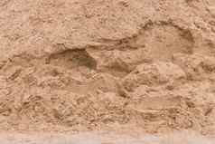 桩沙子纹理背景建设网站特写镜头