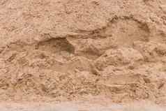 桩沙子纹理背景建设网站特写镜头
