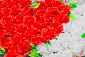 心红色的人工玫瑰相反白色无生命的背景花
