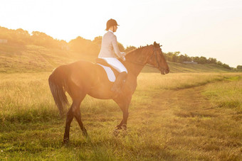 马术体育运动年轻的女人骑马盛装舞步先进的测试太阳耀斑