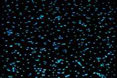 运动摘要蓝色的水泡沫动力学液体黑色的背景