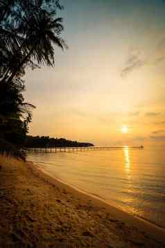 美丽的天堂岛海滩海椰子棕榈树