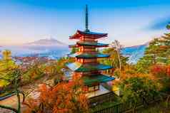 美丽的景观山富士Chureito宝塔枫木叶树秋天季节