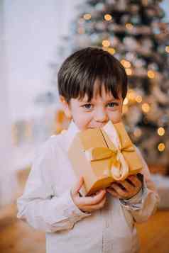男孩一年的礼物树生活方式一年圣诞节节日装饰