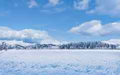 冬天仙境圣诞节景观雪森林树覆盖雪假期背景